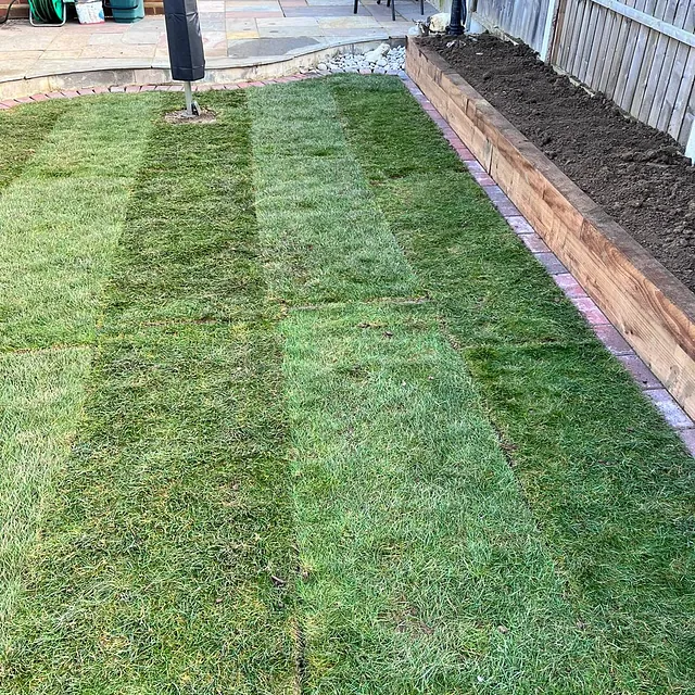 Easy Gardens - new turf and border