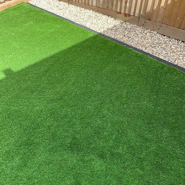 new grass