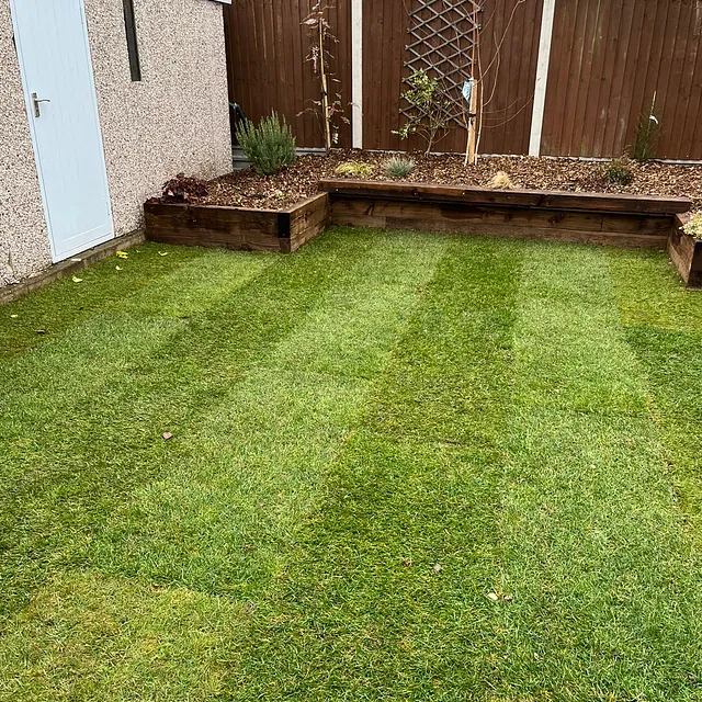 garden turf