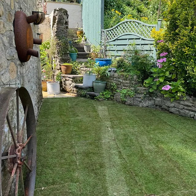 Garden fencing and borders